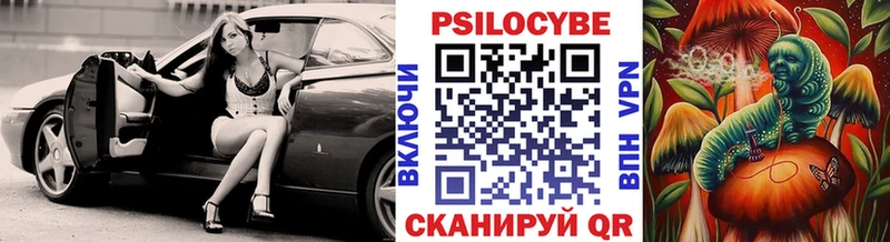 где продают Зея Галлюциногенные грибы GOLDEN TEACHER